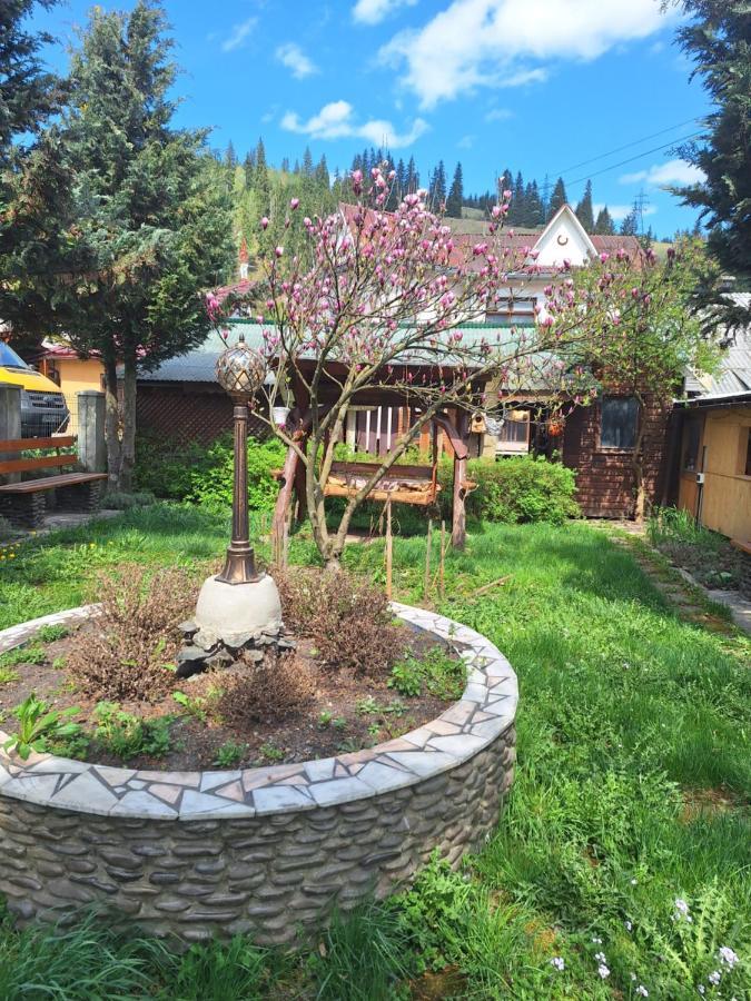 Casa Cu Lavanda Vatra Dornei Dış mekan fotoğraf