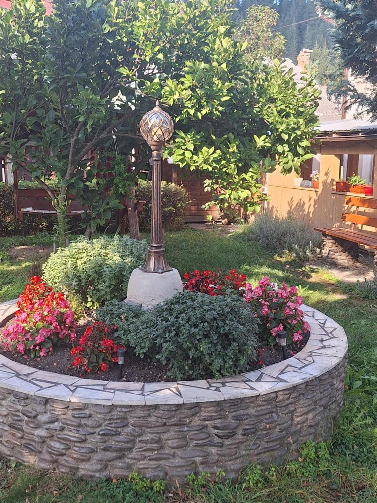 Casa Cu Lavanda Vatra Dornei Dış mekan fotoğraf